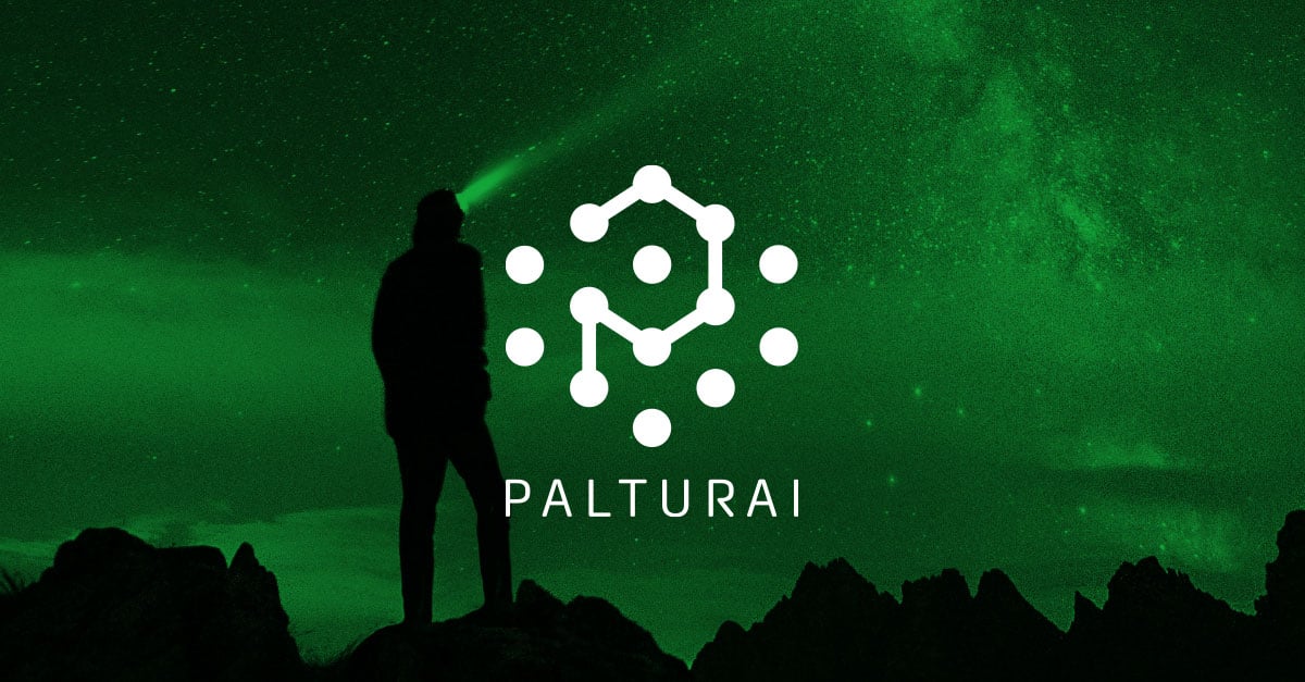 DE_Downloads_SuccessStory_Palturai_Feature Image_Logo