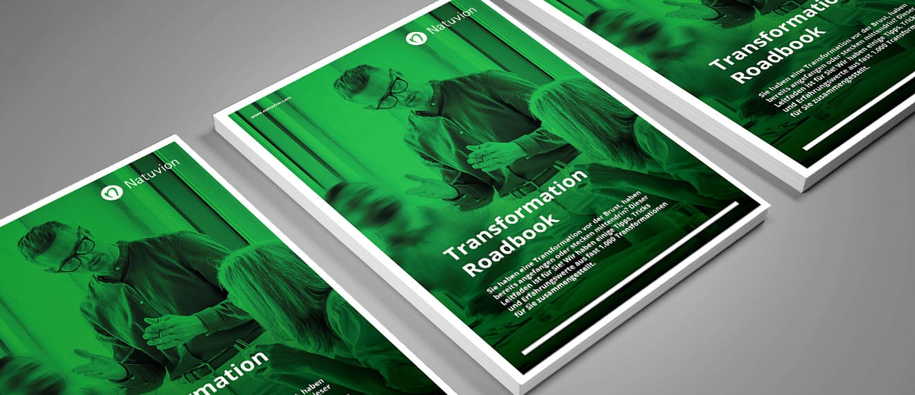 DE_Booklet_Transformation_Roadbook