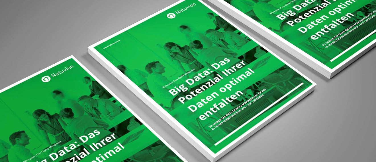 DE_Whitepaper_DQM