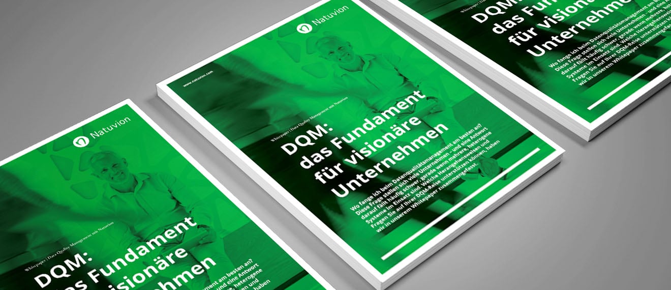 DE_Whitepaper_DQM2