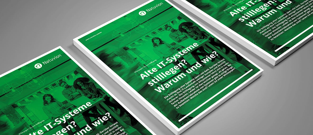 Whitepaper_Systemstillegung_MockUp_DE