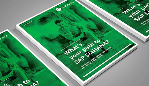 EN_FeatureImage_Whitepaper_SAP_SDT_MockUp