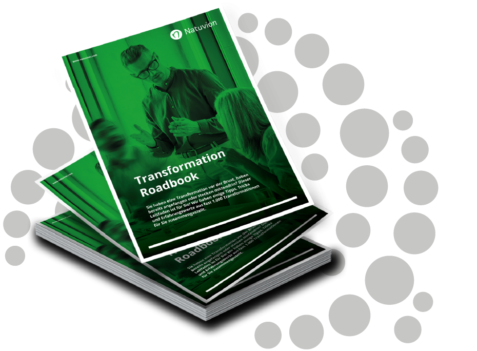 Products_TransformationRoadbook_V01