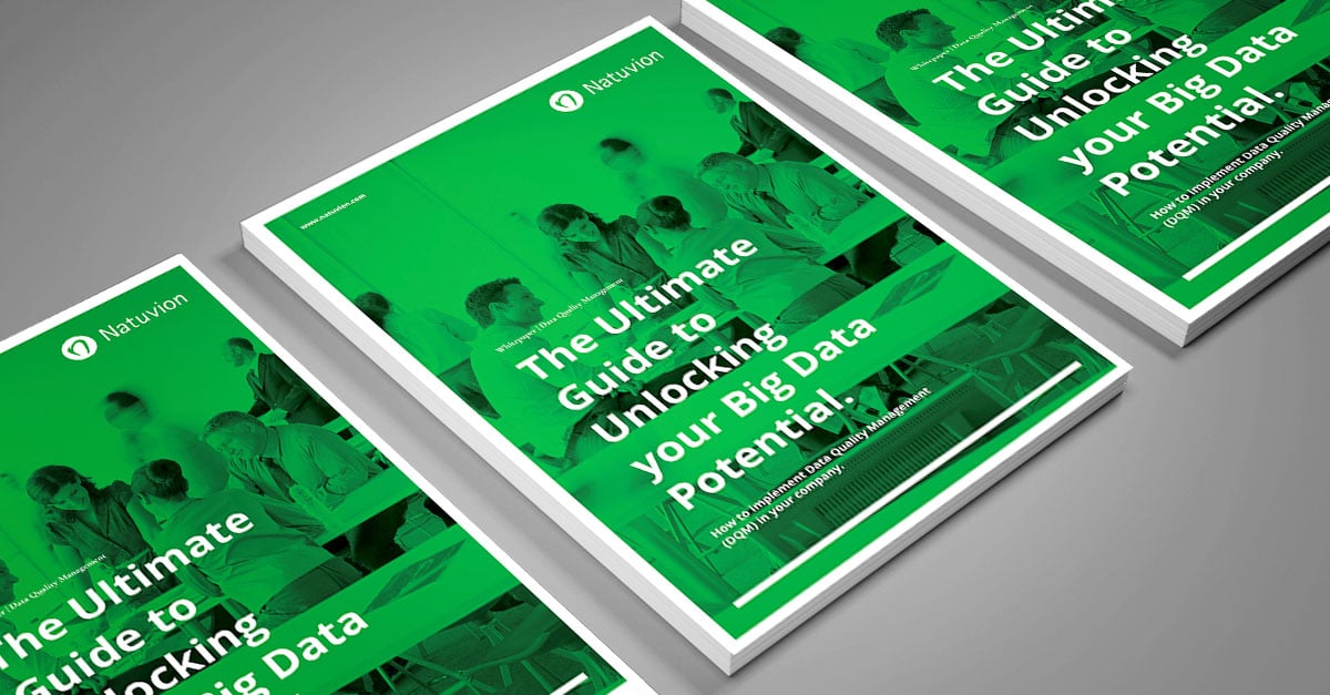 EN_Services_Whitepaper_DQM_1_MockUp
