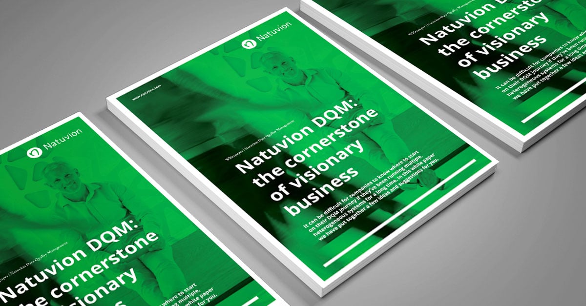 EN_Services_Whitepaper_DQM_2_MockUp