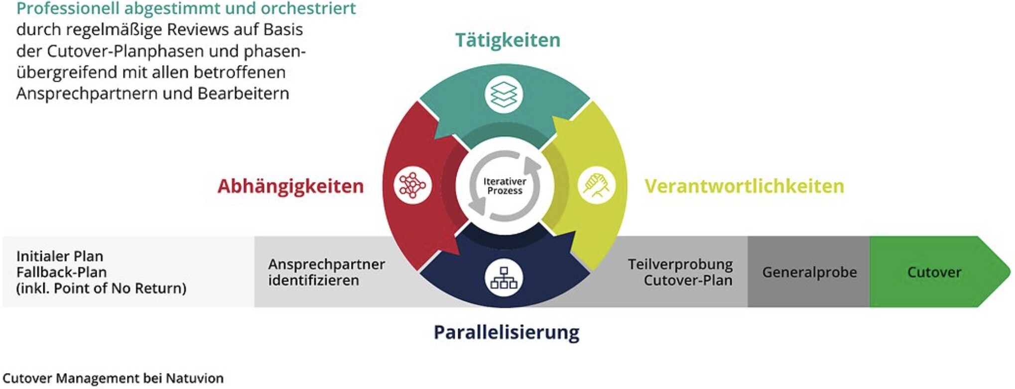 nVision-vorbereitung-SAP-migration