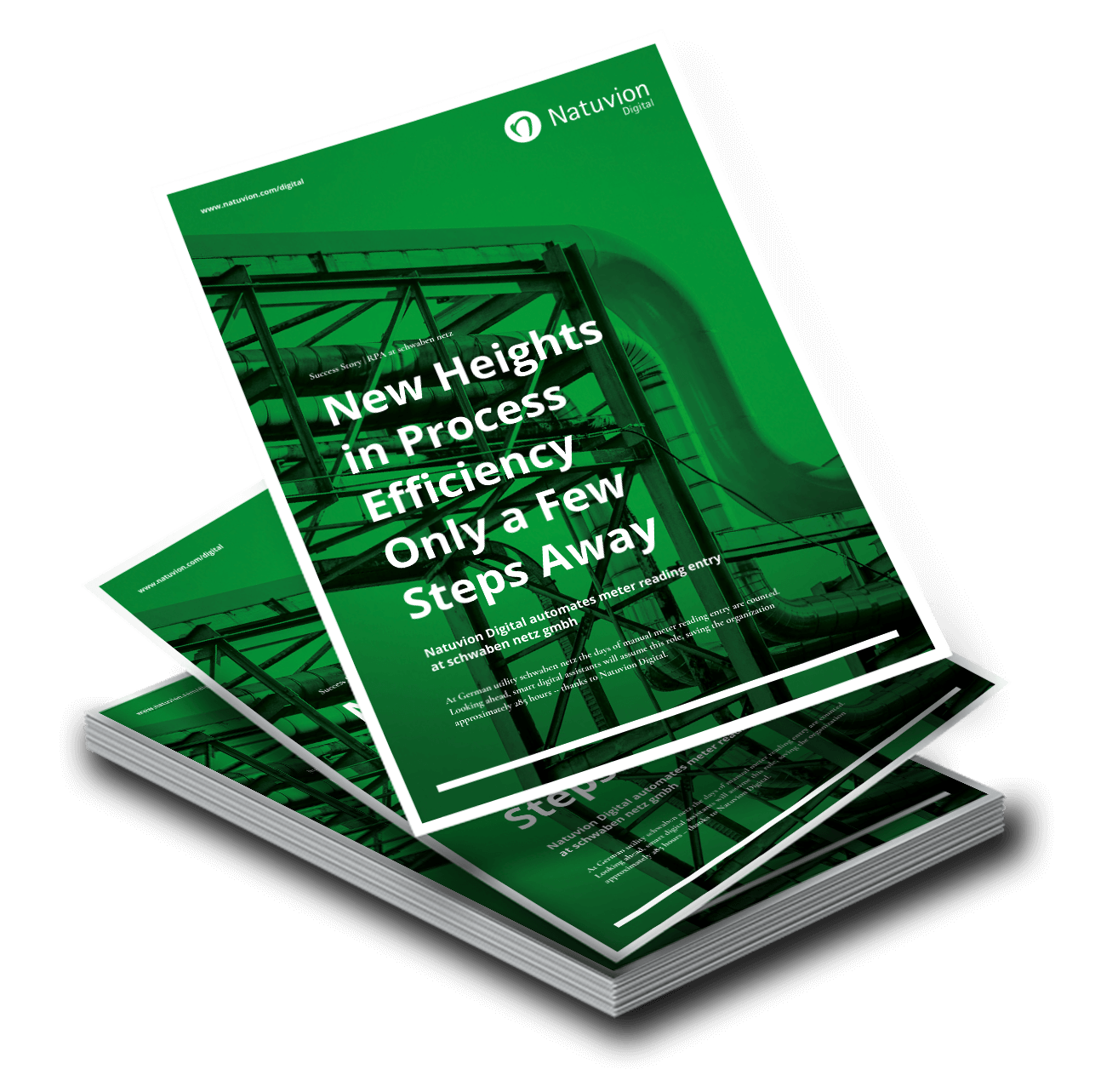 LP_EN_SuccessStory_Digital_schwabennetz_RPA