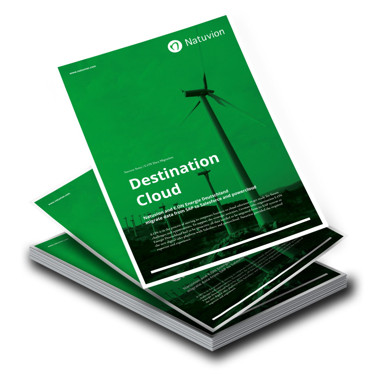 LP_EN_SuccessStory_EON_Datenmigration