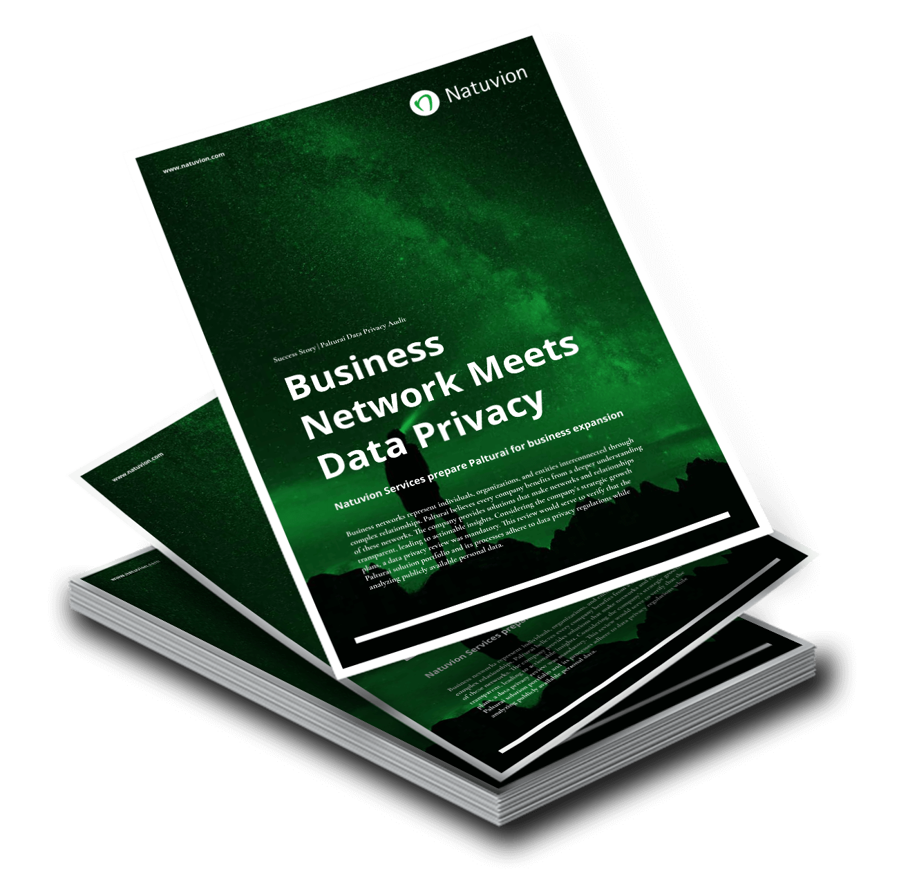 LP_EN_SuccessStory_Palturai_DataPrivacyAudit