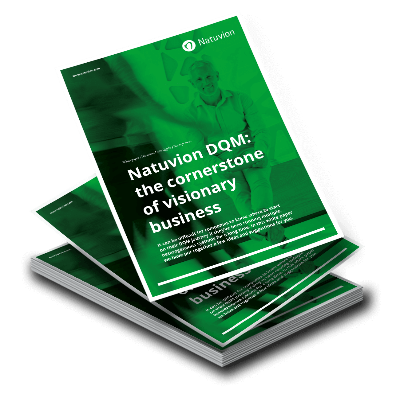 LP_EN_Whitepaper_DQM-2