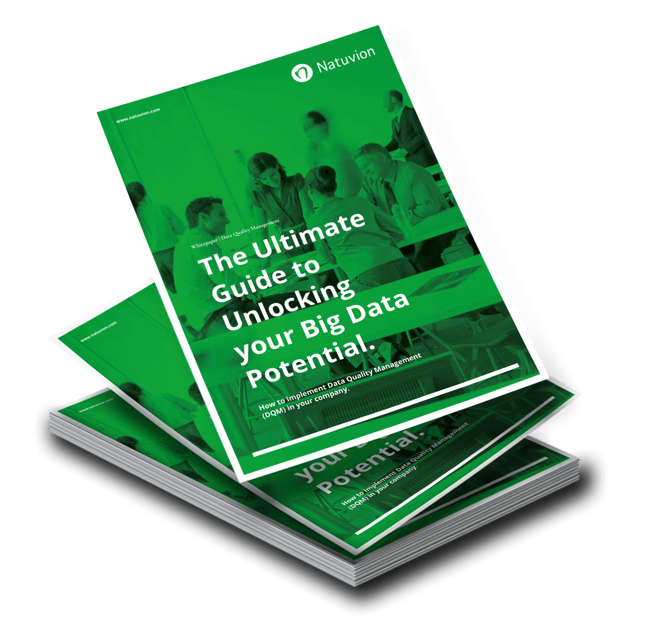 LP_EN_Whitepaper_DQM_1