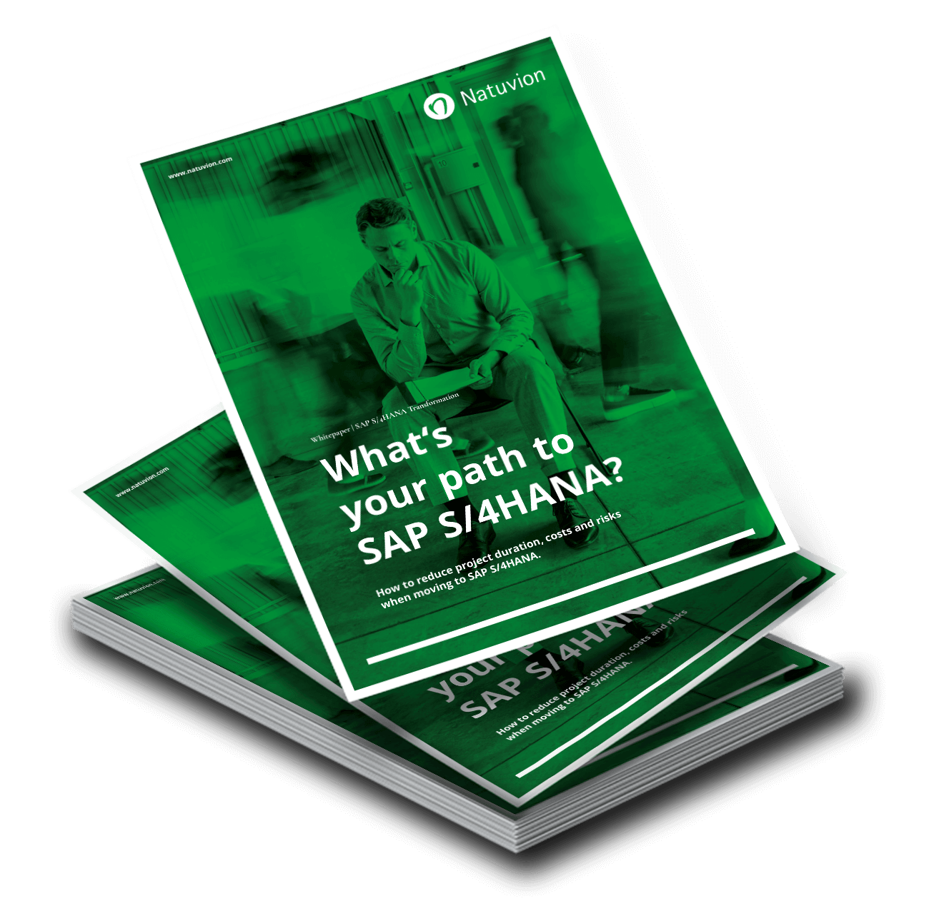 LP_EN_Whitepaper_SDT_S4HANA_Transformation-1