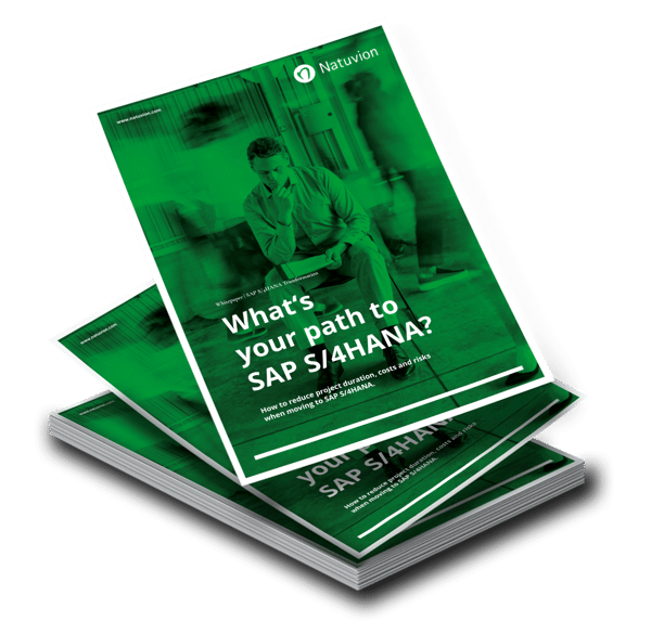 LP_EN_Whitepaper_SDT_S4HANA_Transformation-1
