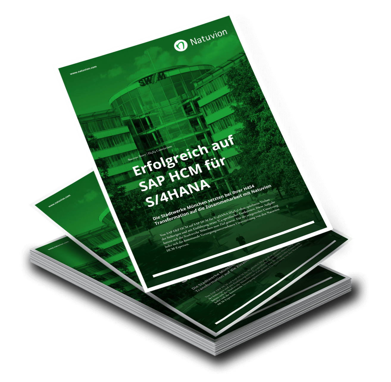 DE_Downloads_SuccessStory_SWM-H4S4-Conversion_MockUp_1314x1283_v2