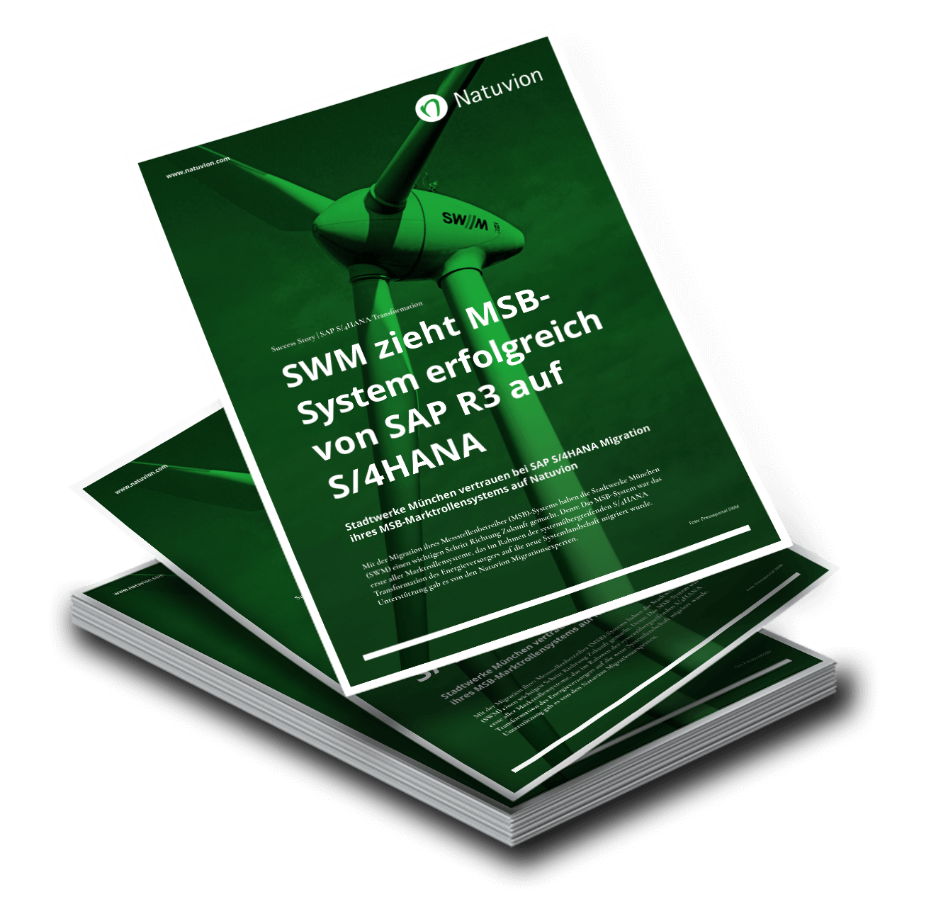 DE_Downloads_SuccessStory_SWM_S4-Migration_MSB_System_MockUp