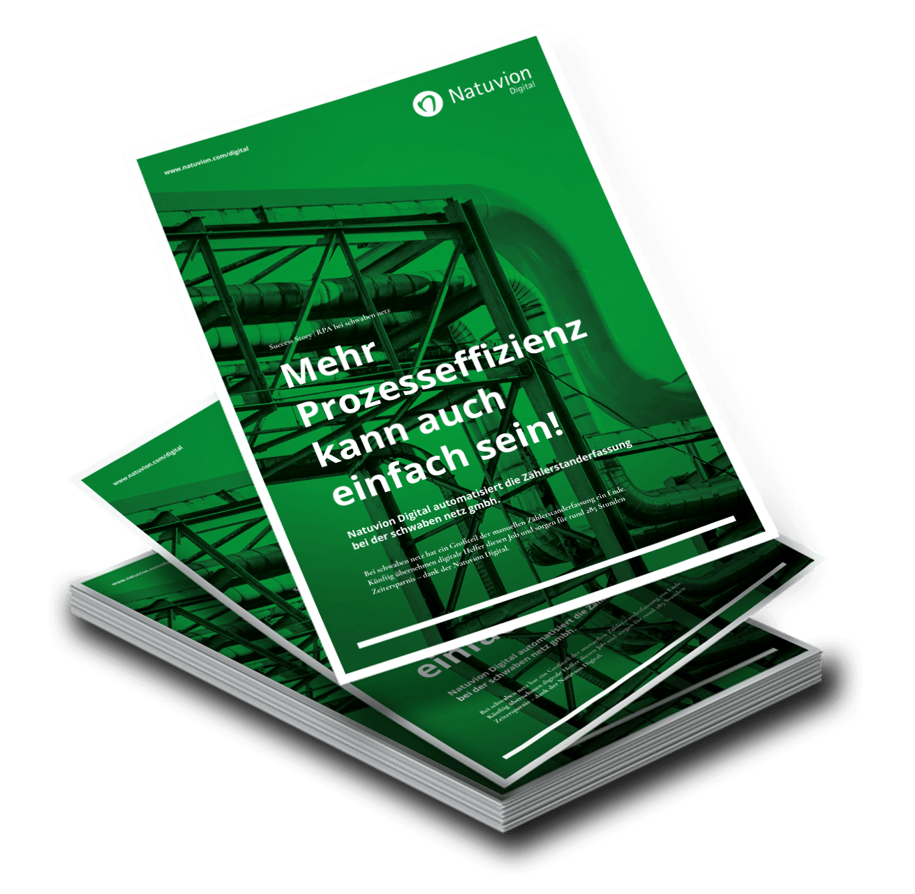 LP_DE_SuccessStory_Digital_schwabennetz_RPA