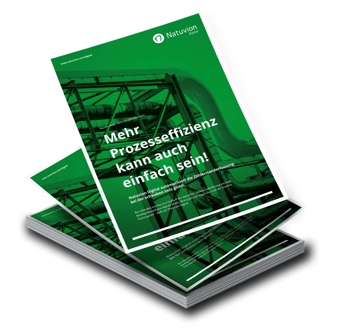 LP_DE_SuccessStory_Digital_schwabennetz_RPA