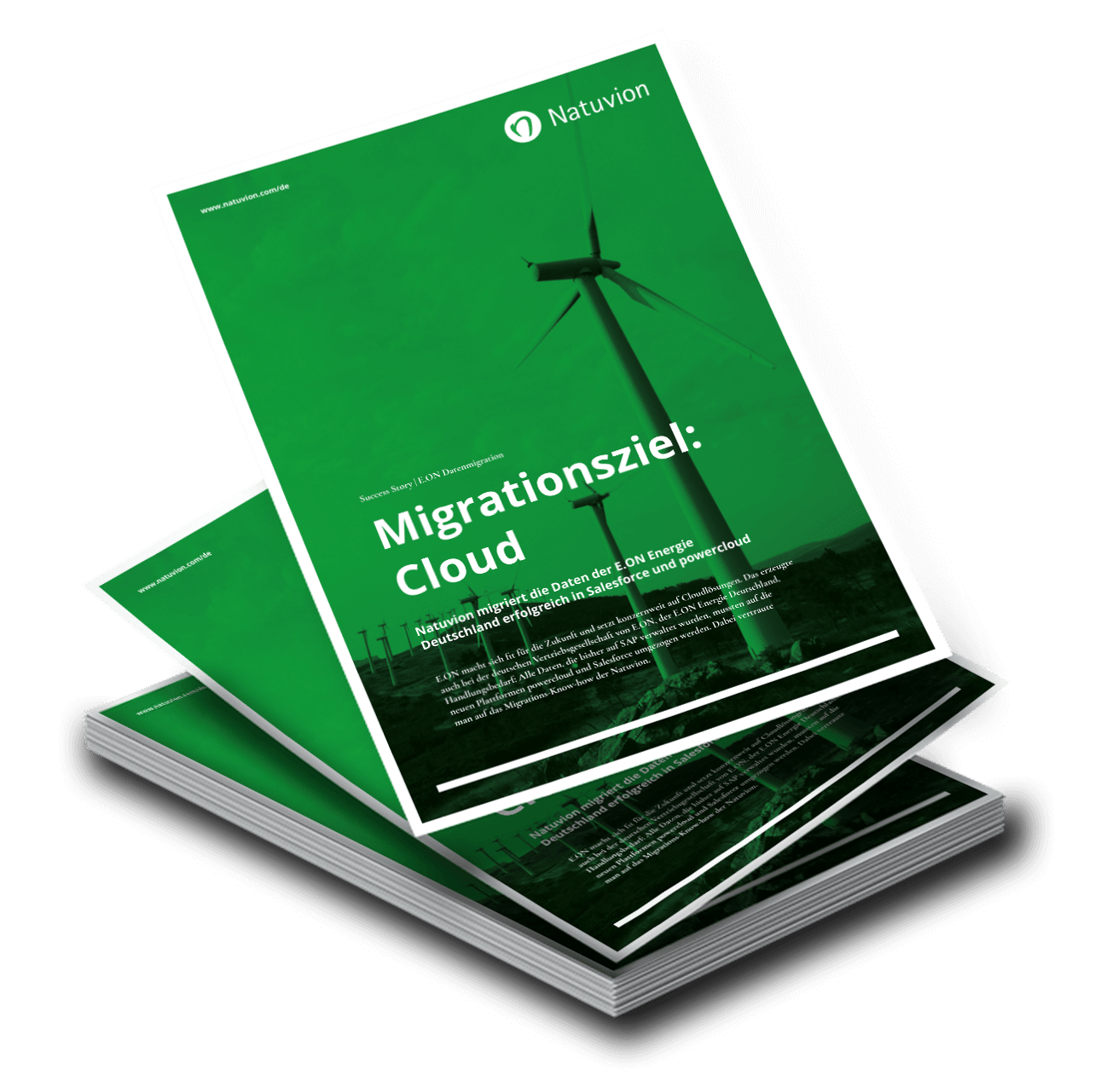 LP_DE_SuccessStory_EON-Datenmigration
