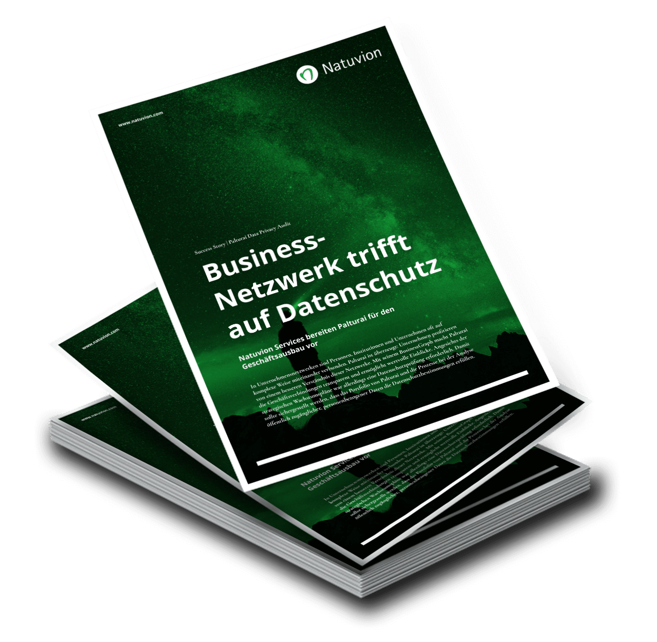 LP_DE_SuccessStory_Palturai_DataPrivacyAudit