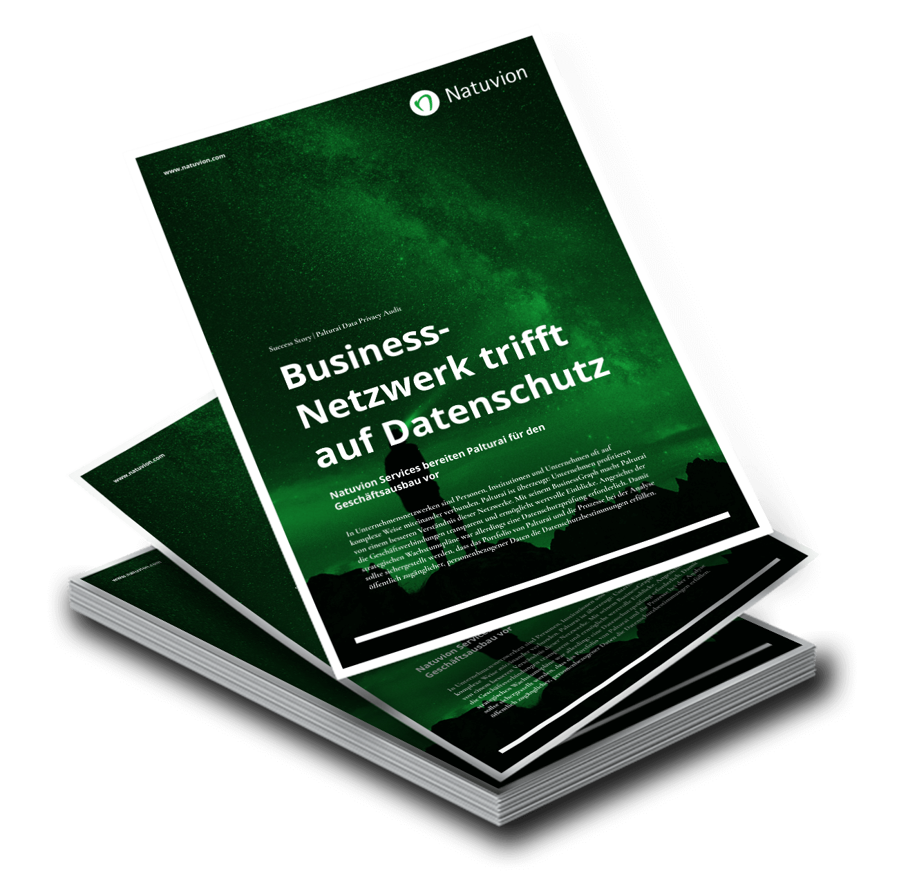 LP_DE_SuccessStory_Palturai_DataPrivacyAudit