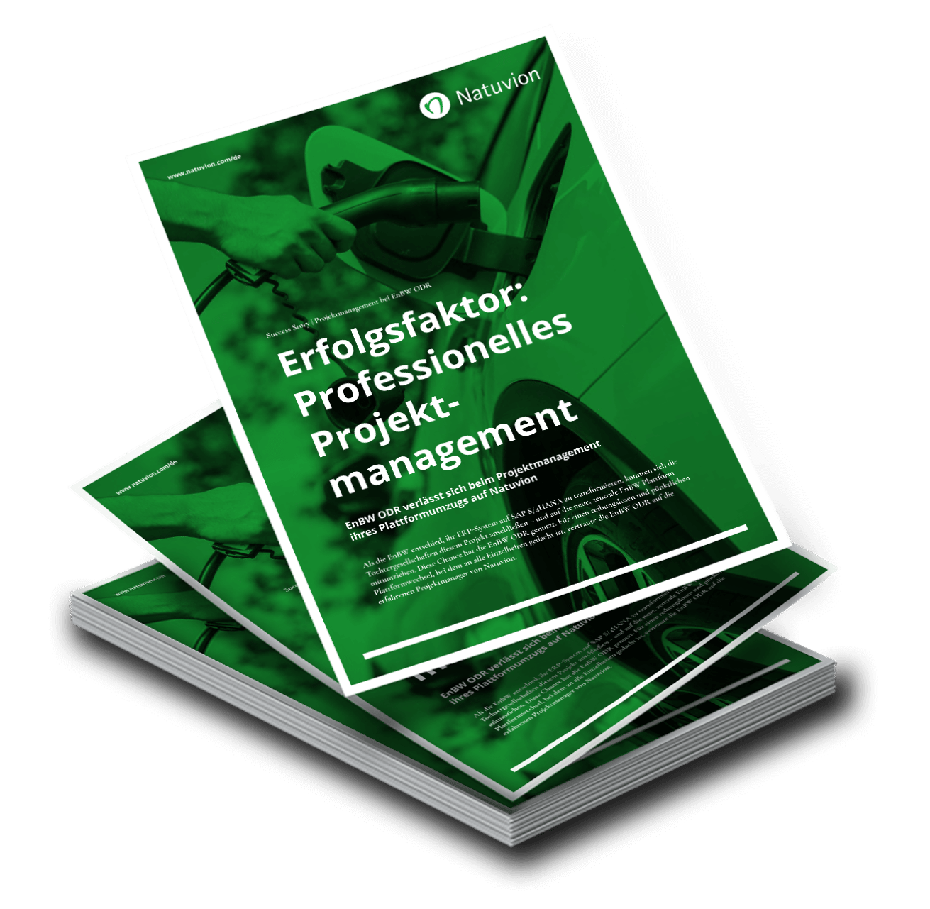 LP_DE_SuccessStory_ProjectManagment_EnBW_ODR