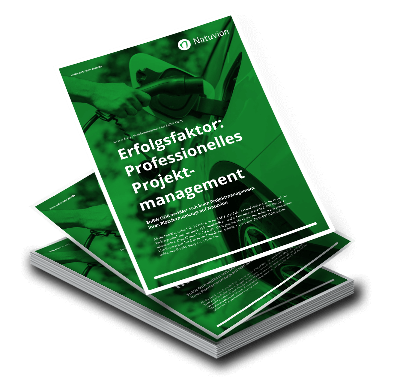 LP_DE_SuccessStory_ProjectManagment_EnBW_ODR