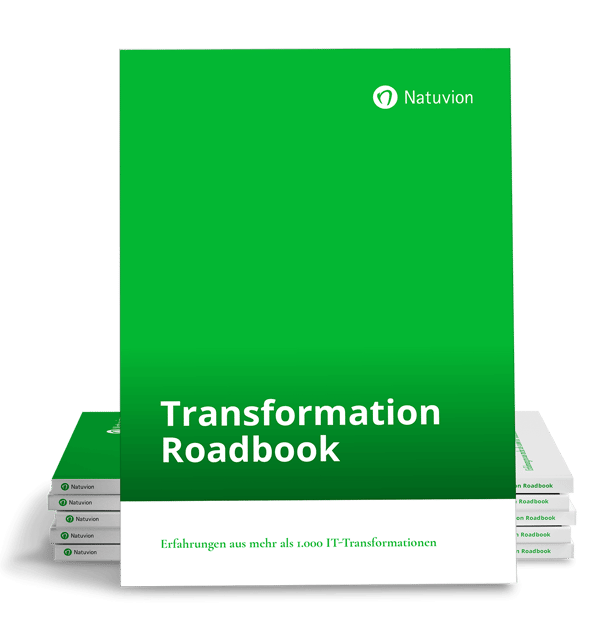 LP_DE_Transformation_Roadbook_2024