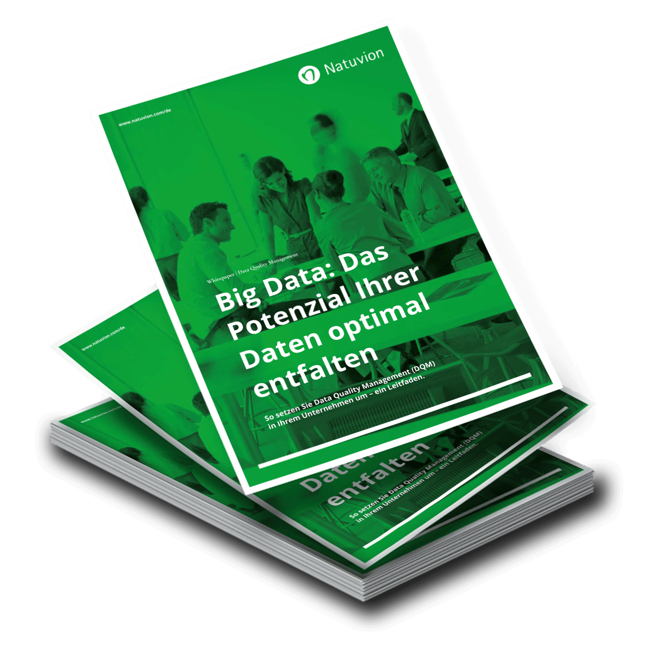 LP_DE_Whitepaper_DQM_1