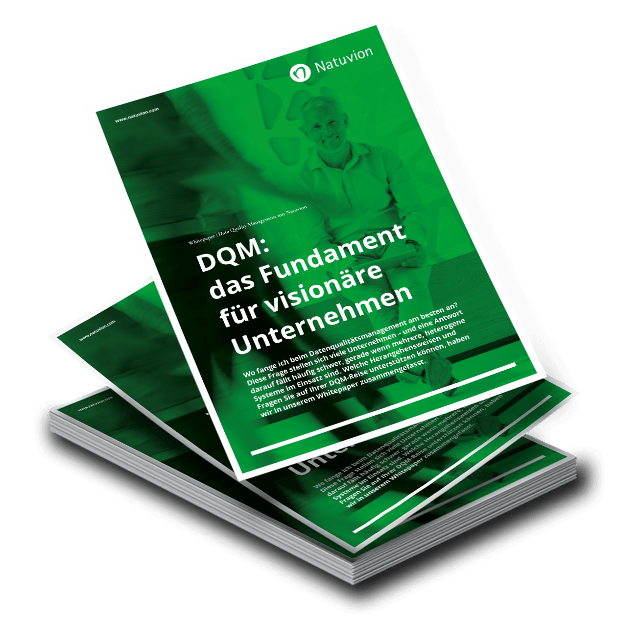 LP_DE_Whitepaper_DQM_2