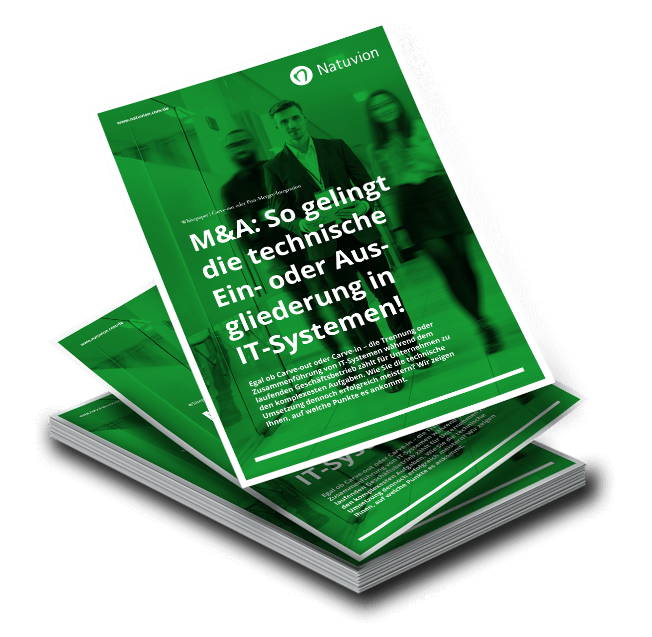 LP_DE_Whitepaper_MandA_CarveOut_PostMergerInegration