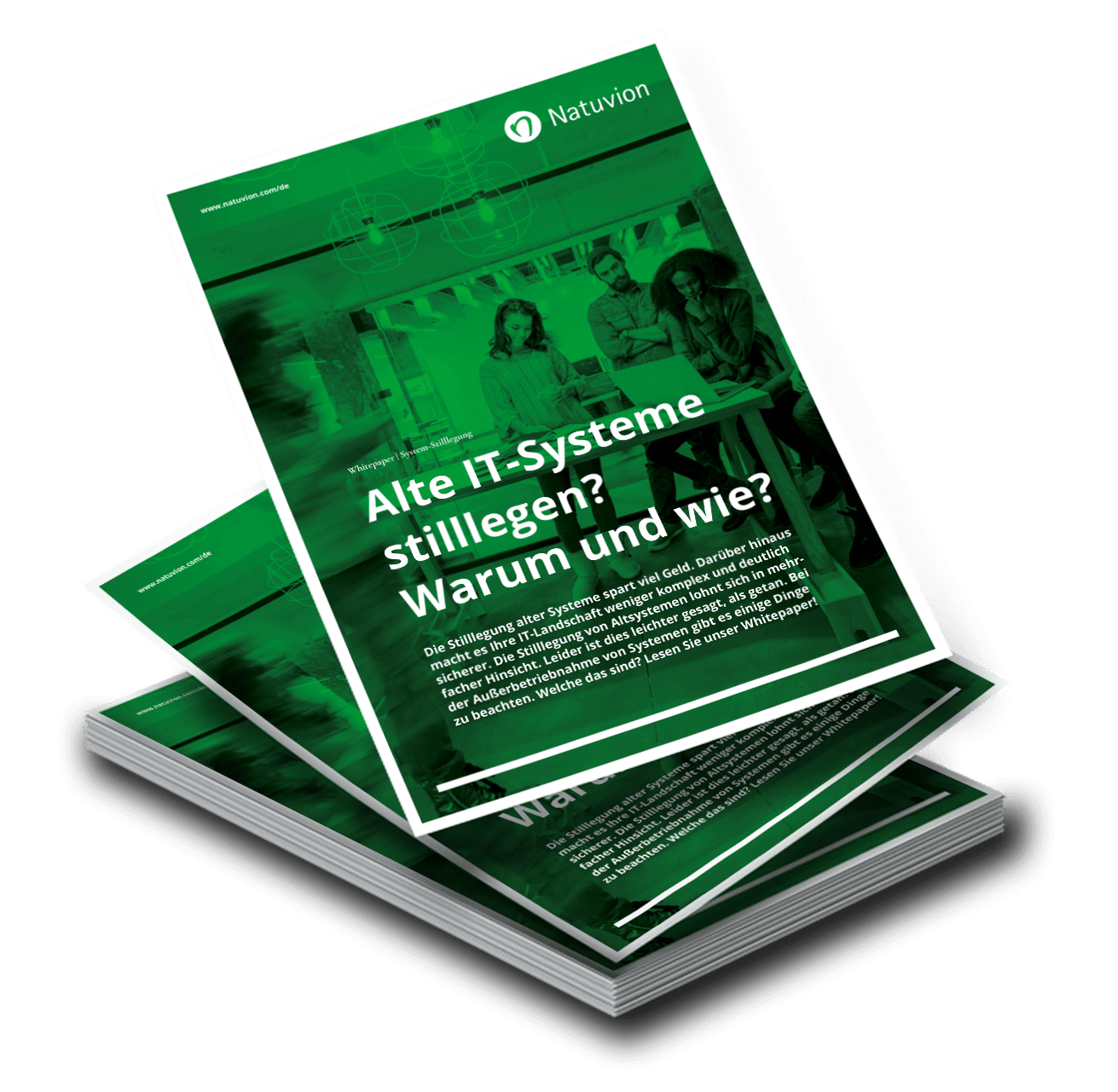 LP_DE_Whitepaper_Systemstillegung