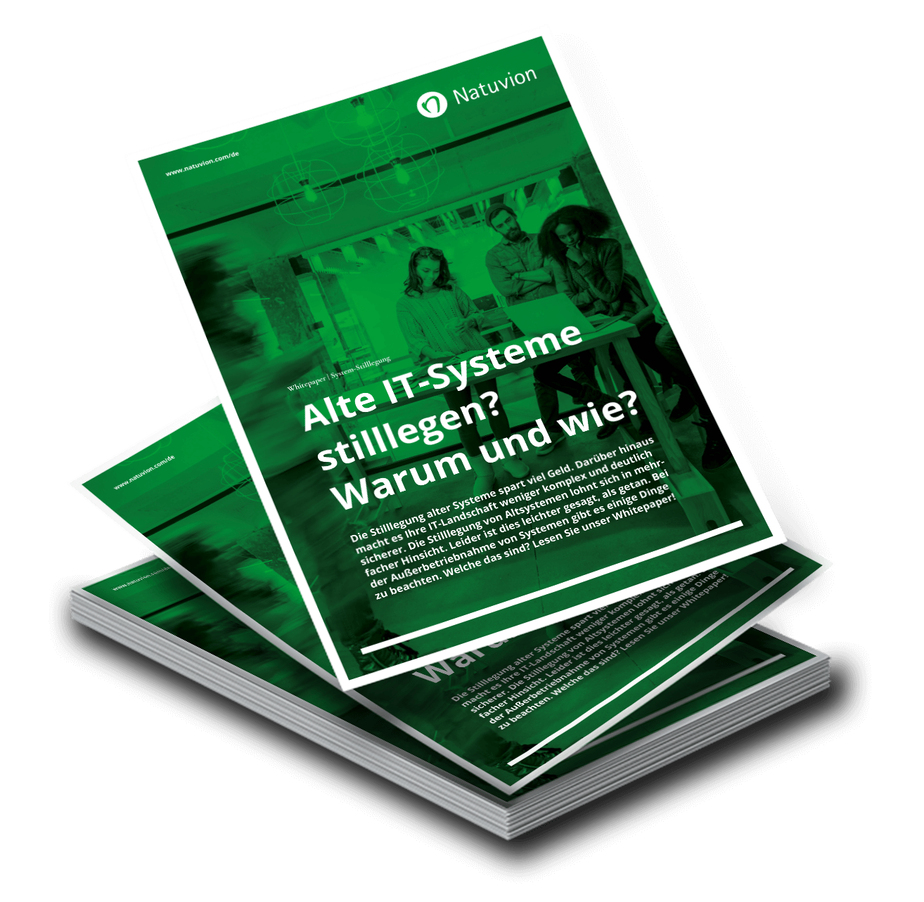 LP_DE_Whitepaper_Systemstillegung