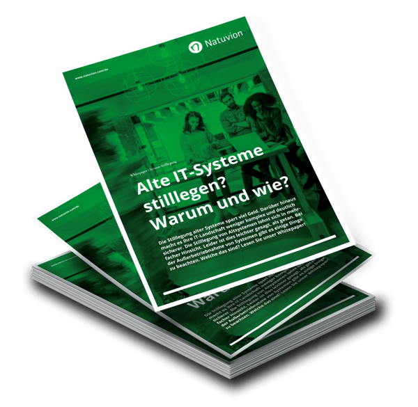LP_DE_Whitepaper_Systemstillegung