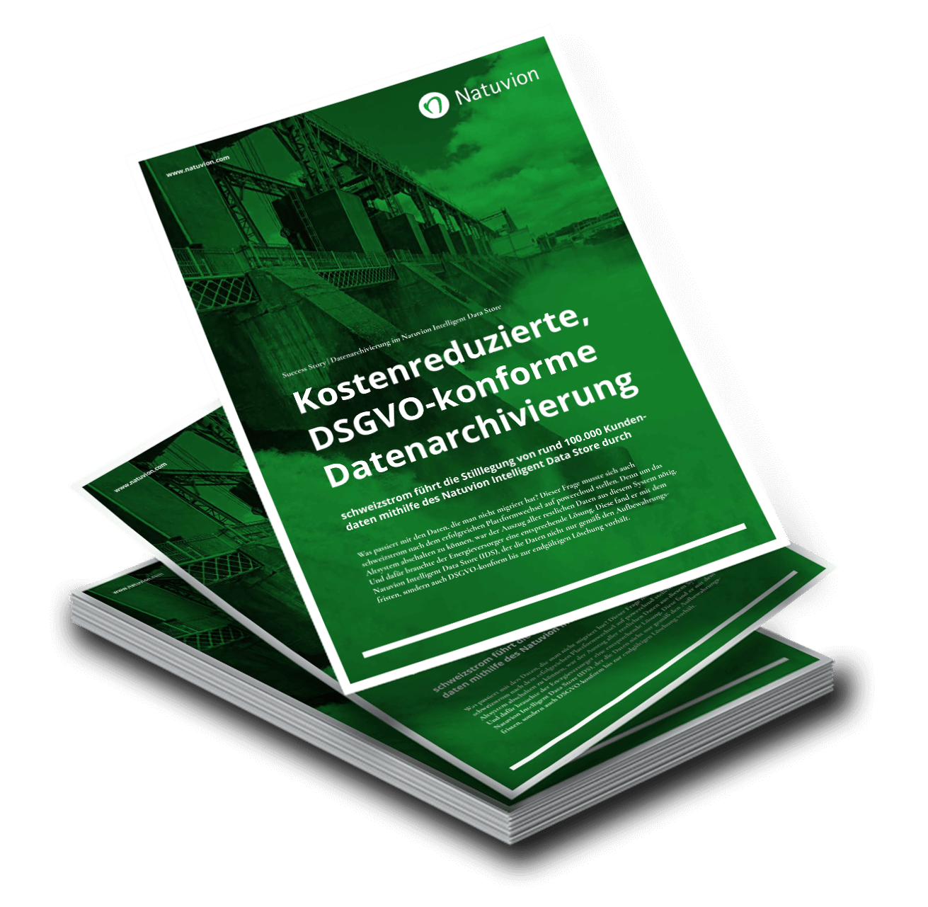 LP_EN_SuccessStory_schweizstrom_IDS