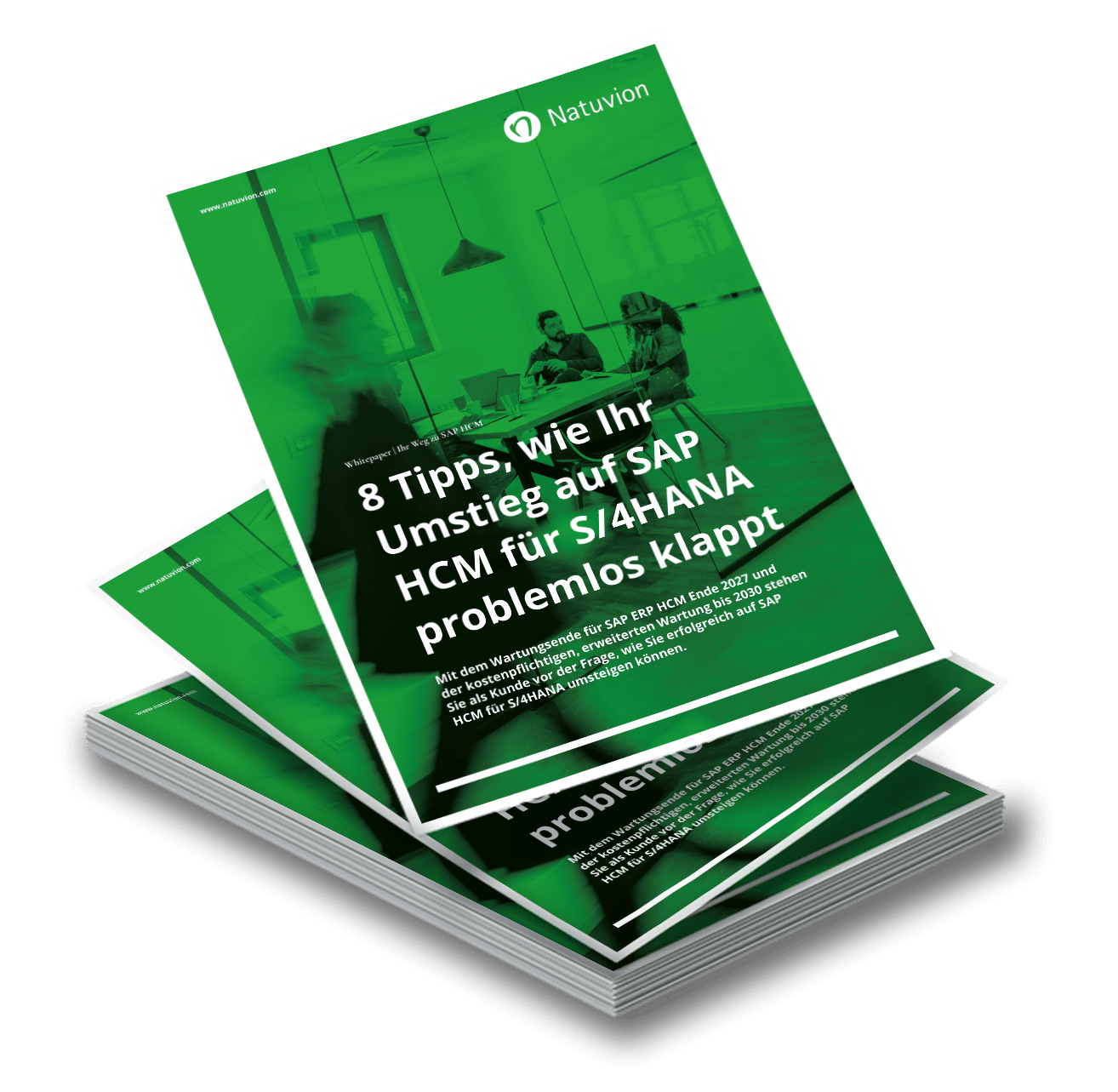 251119_de_LP_teaser_Whitepaper_HCM_Transformation_MockUp_v4-min