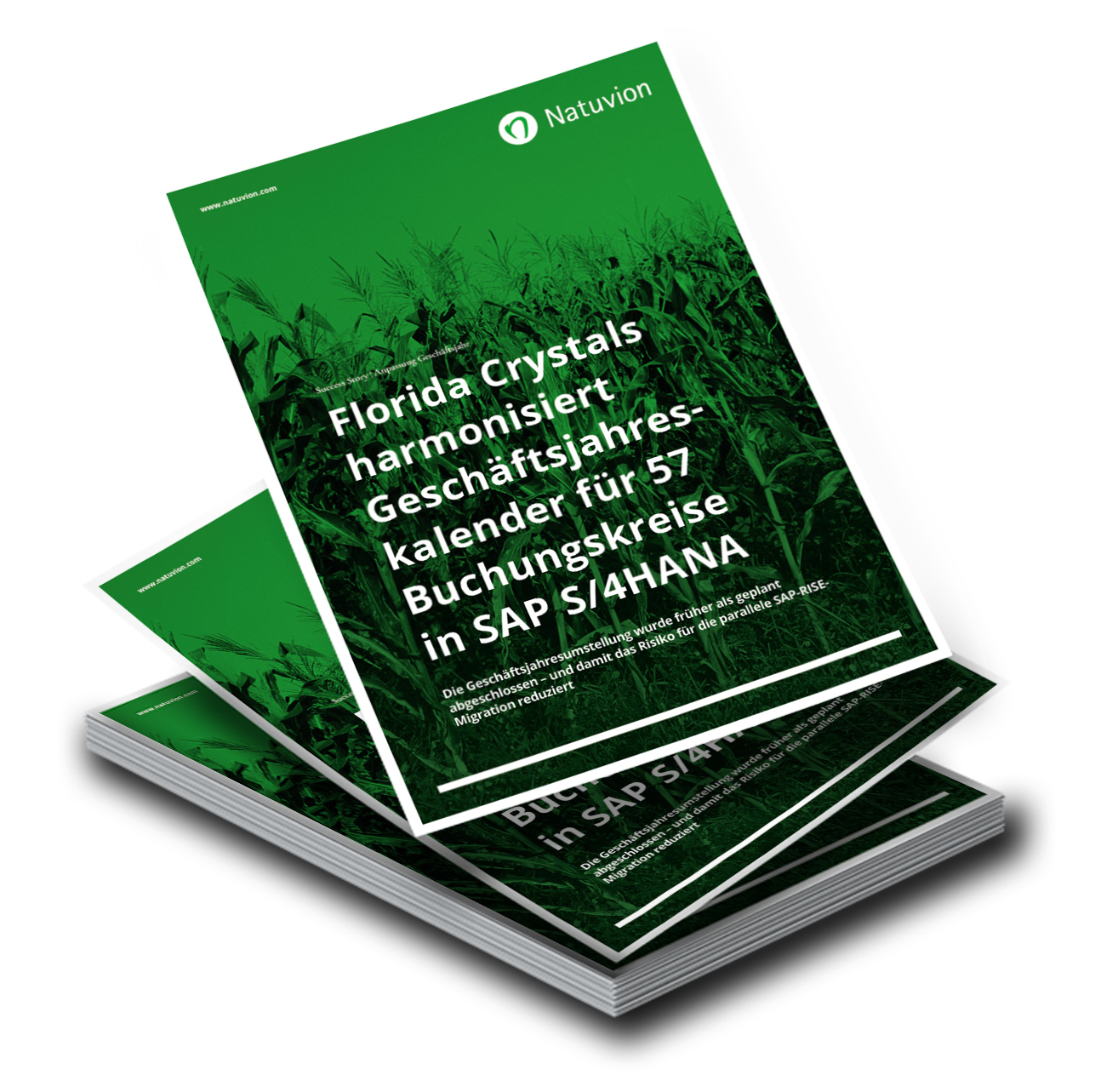DE_SuccessStory_Florida_Crystals_MockUp_1314x1283__261006