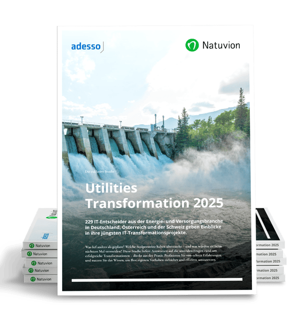 LP_DE_Utilities-Transformation_2025