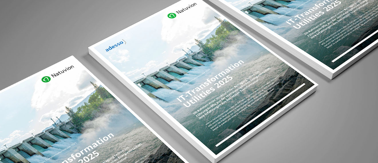 260303_Transformationsstudie_Utilities_2025_1320x570px