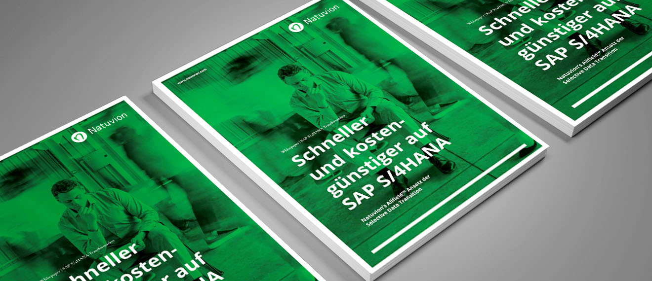 DE_Services_Whitepaper_SDT_1320x570