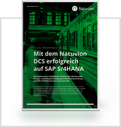 DE_Downloads_SuccessStory_rku.it-DortmunderStadtwerke_PaperRahmen