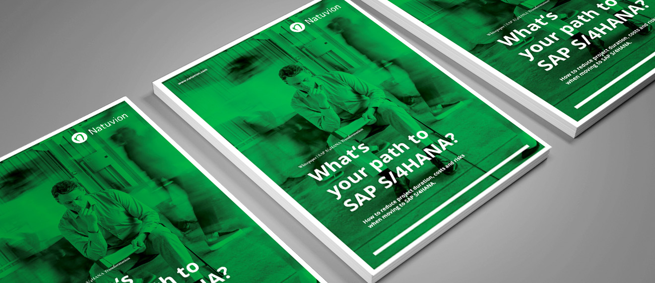 260610_EN_Downloads_SuccessStory_MockUp_Whitepaper_SDT_1320x570