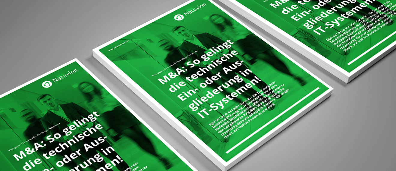 260610_DE_Downloads_SuccessStory_MockUp_Whitepaper_MandA_1320x570