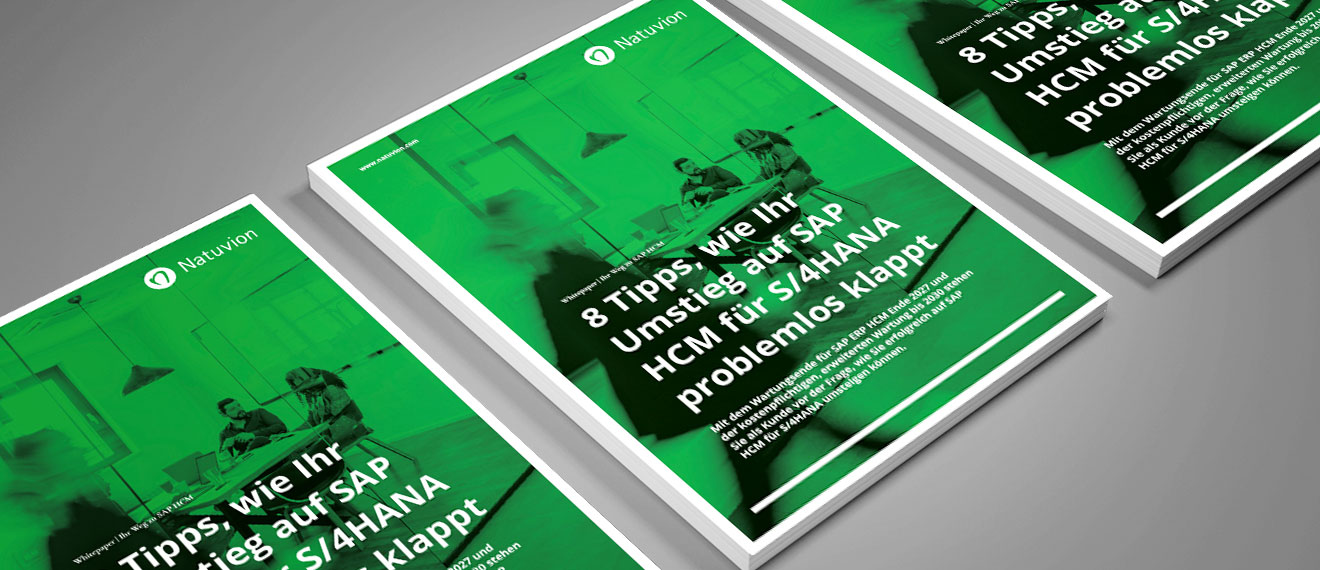 251118_de_LP_teaser_Whitepaper_HCM_Transformation_FeatureImage_1320x570