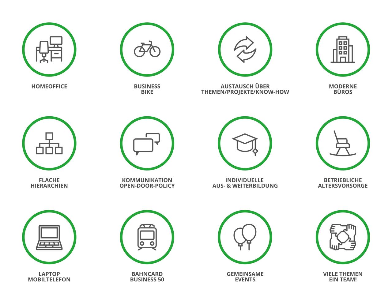 Natuvion_Webgrafik_Karriere-Benefits_DE_neu